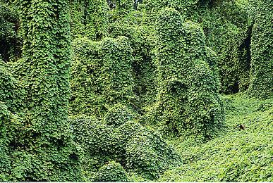 国产谍战文字解谜游戏《谍：惊蛰》Steam页面上线 试玩Demo已公布