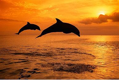 《华纳大乱斗》简化解锁新角色方式：仅需正常游玩即可