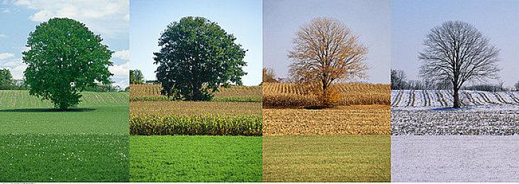 《未知9号：觉醒》新预告放出 已开启预购 2024年10月18日正式推出